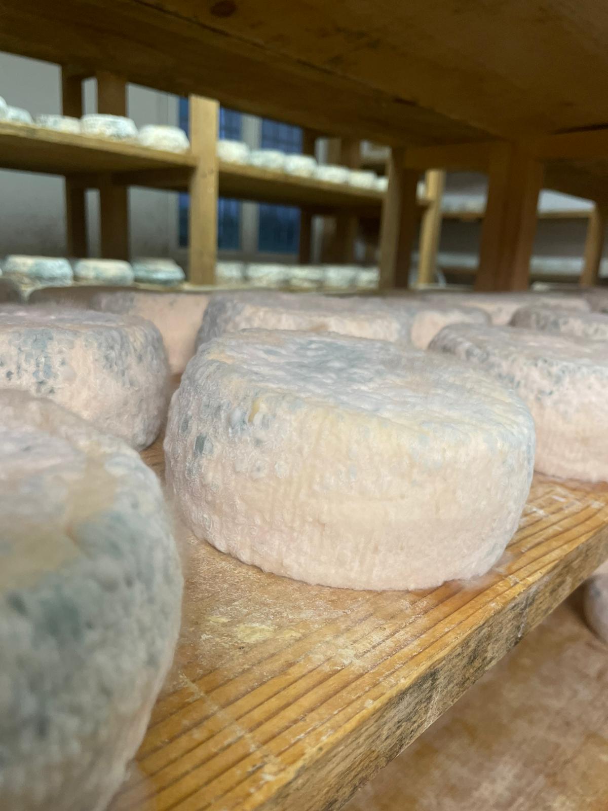 Fromagerie Giacomoni - Photo 1