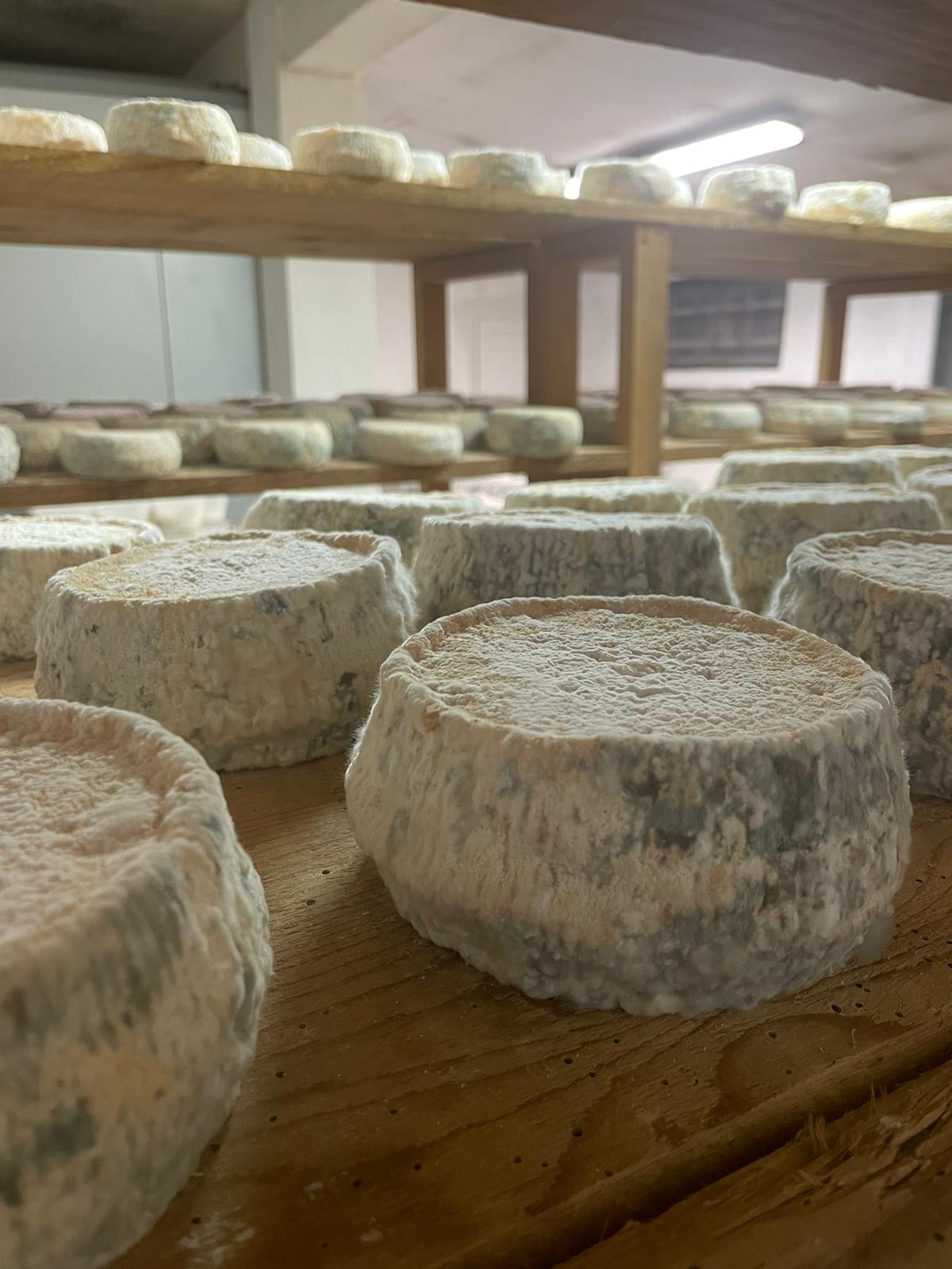 Fromagerie Giacomoni - Photo 2