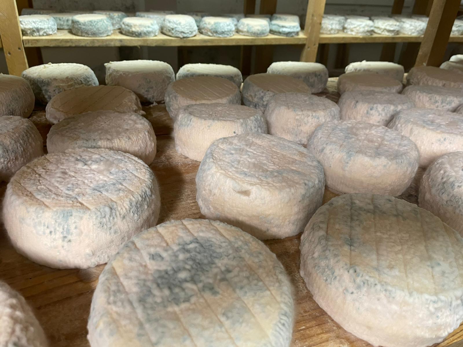 Fromagerie Giacomoni - Photo 5