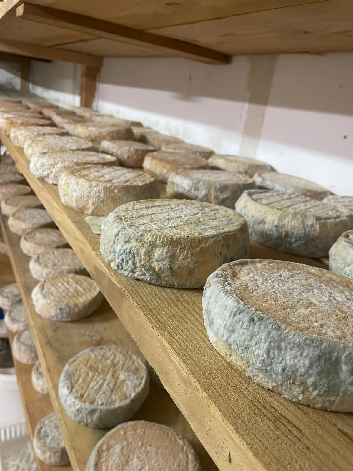 Fromagerie Giacomoni
