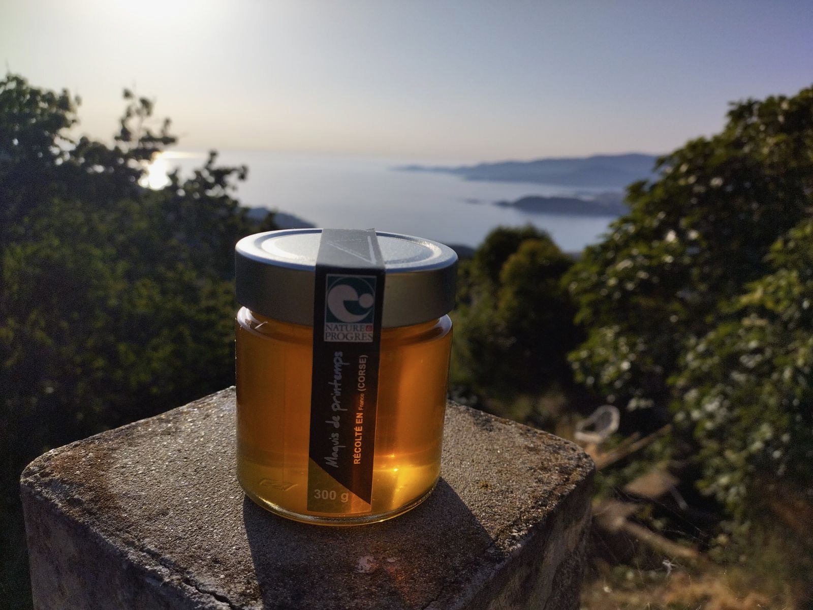 Leca Stellio - Photo 1