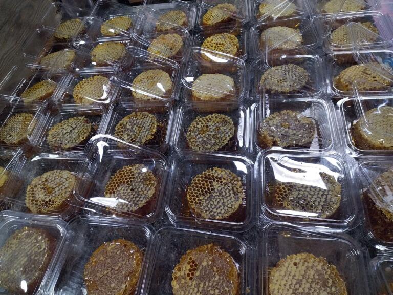 Leca Stellio - Photo 2