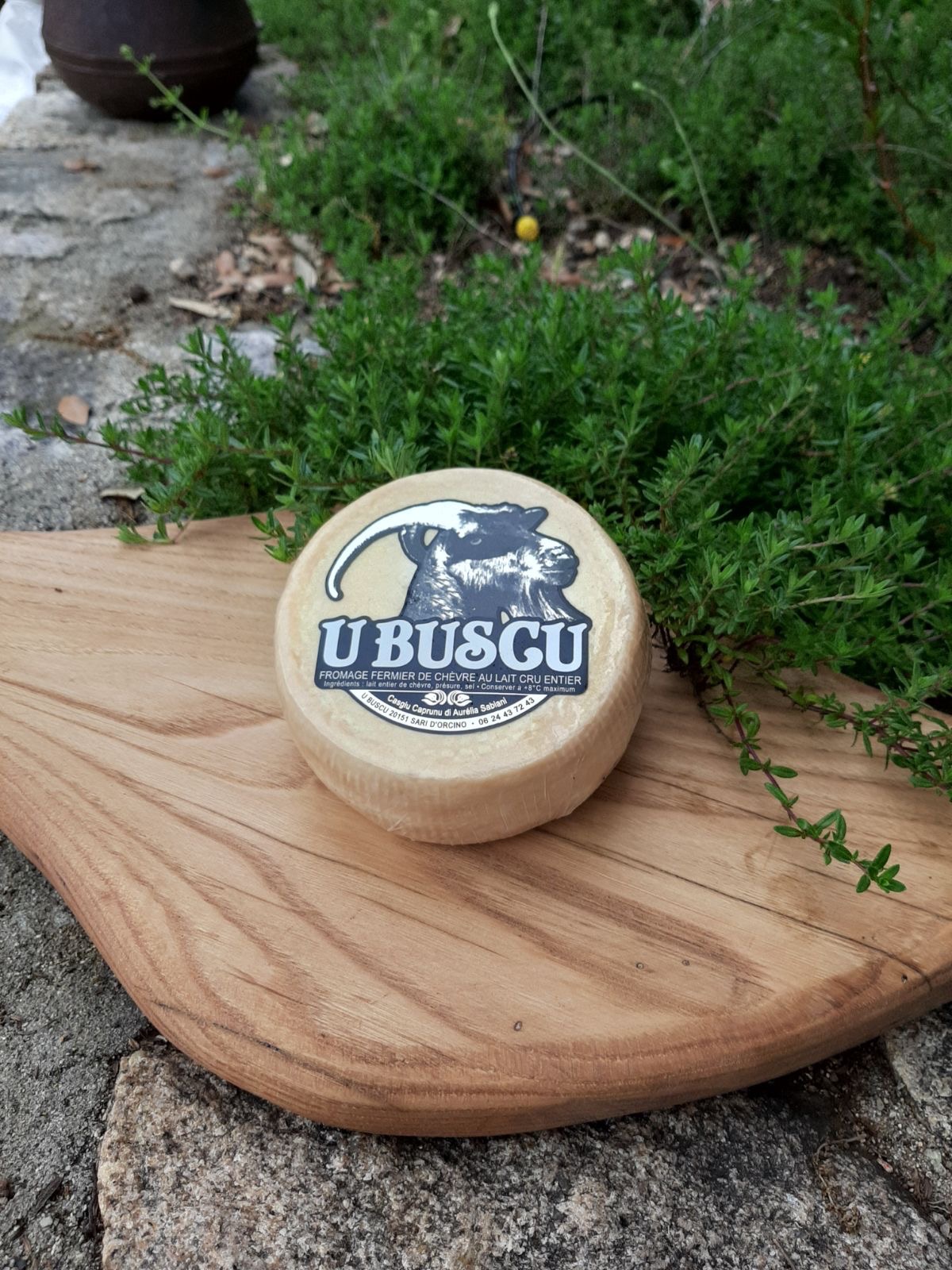 Aurélia Sabiani - Photo 2