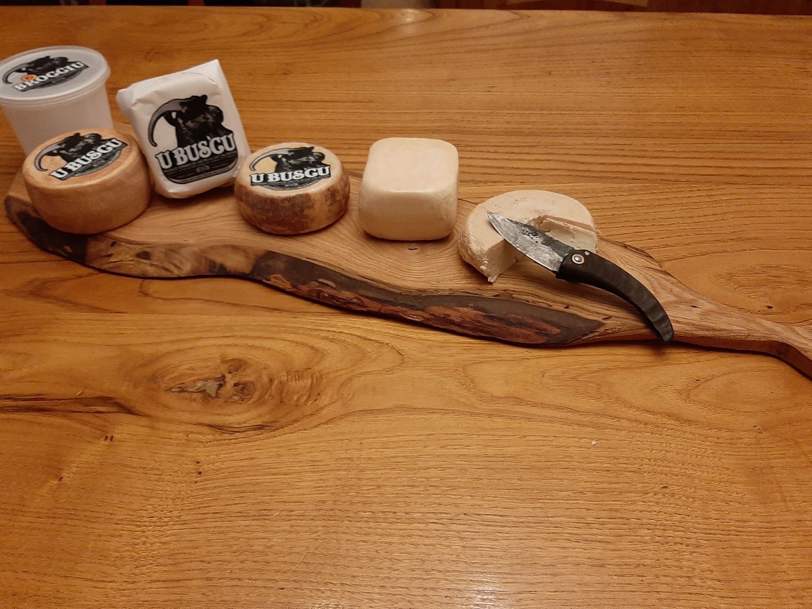 Aurélia Sabiani - Photo 3