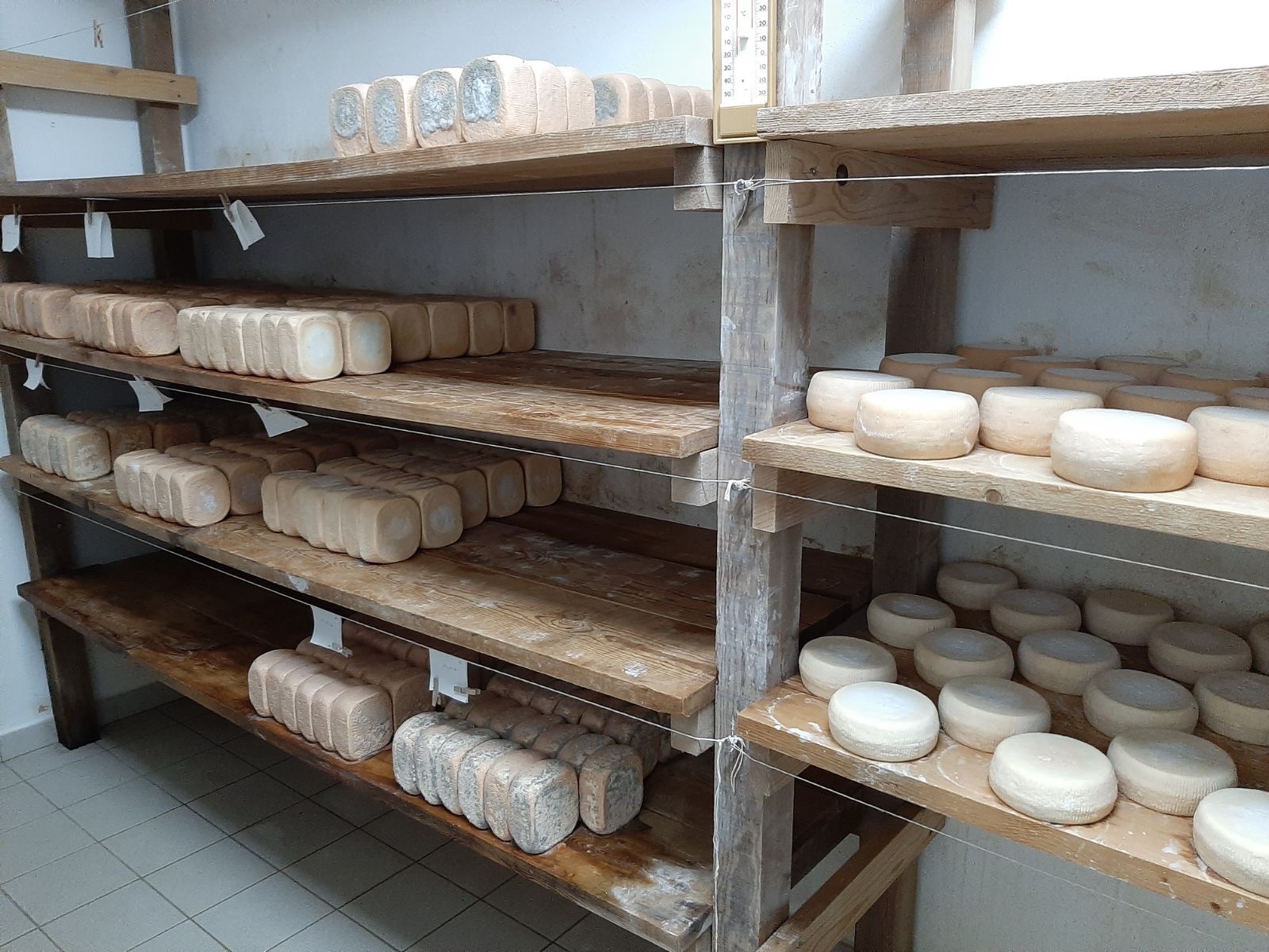 Aurélia Sabiani - Photo 4