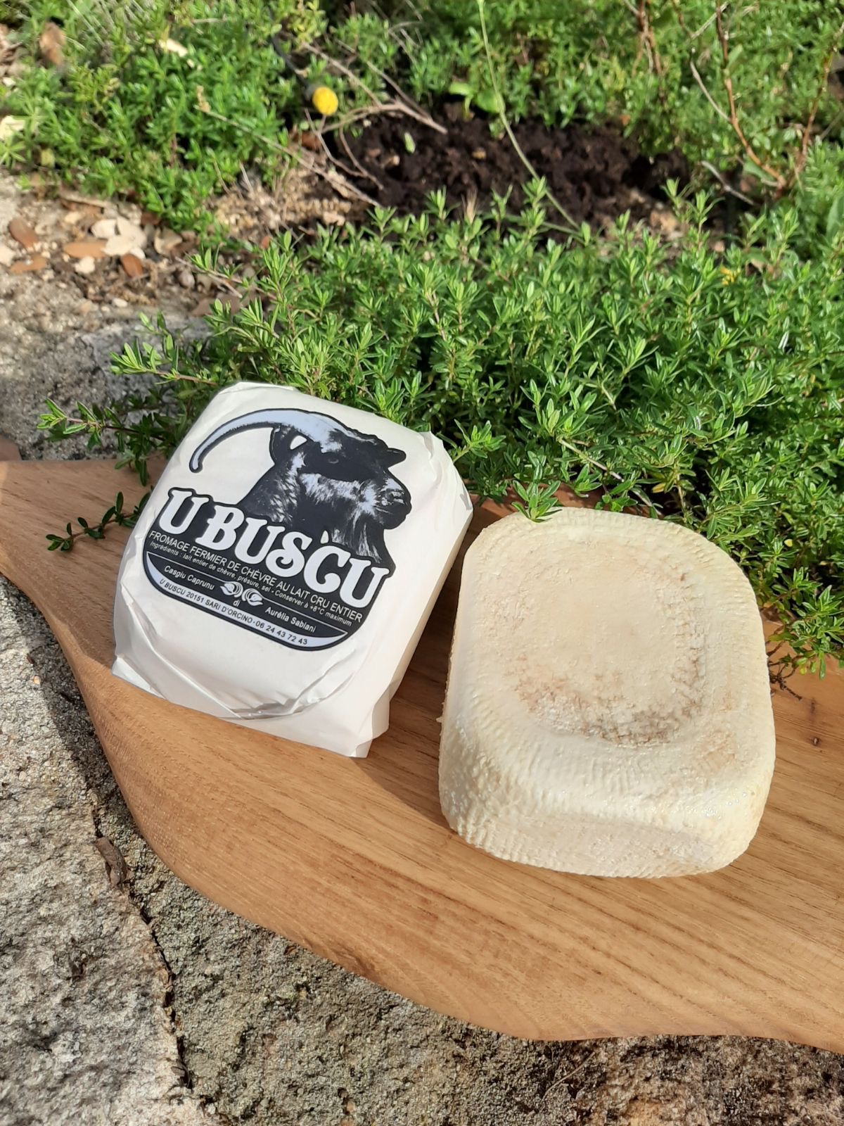 Aurélia Sabiani - Photo 5